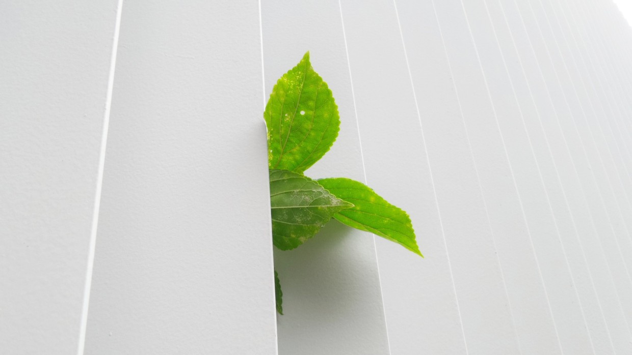 L’impact écologique du web en quelques chiffres (2022)