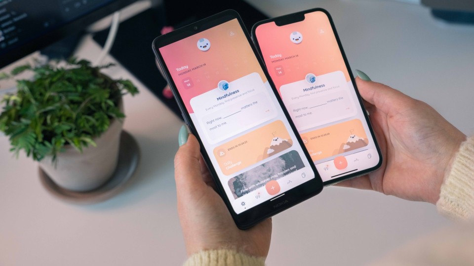 Flutter for your hybrid mobile app development